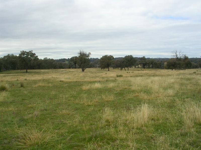 - Fernhill Road, Crowther NSW 2803
