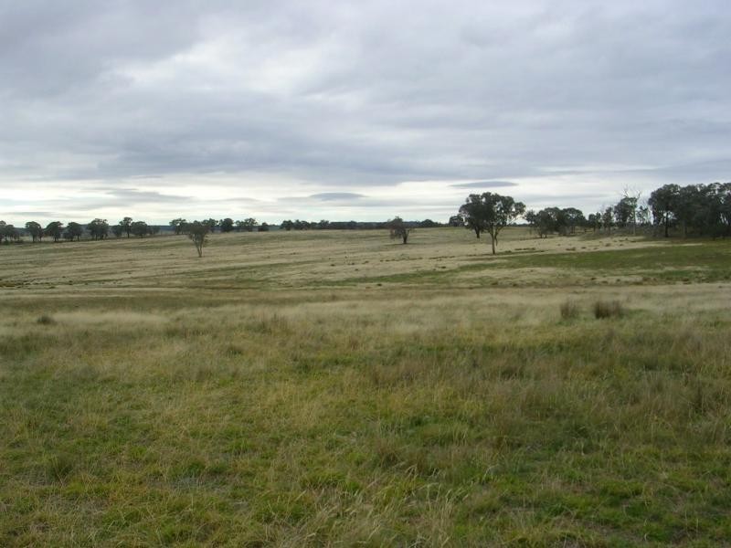 - Fernhill Road, Crowther NSW 2803