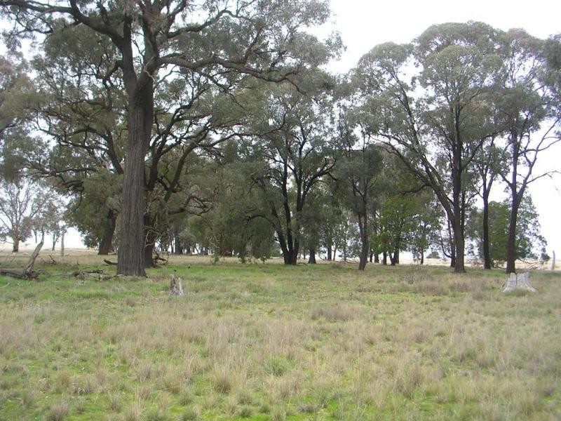 - Fernhill Road, Crowther NSW 2803