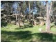 “Spring Ardo”, Sanderson Road, Springhurst VIC 3682