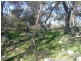“Spring Ardo”, Sanderson Road, Springhurst VIC 3682