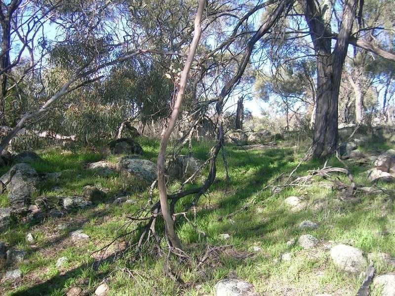 “Spring Ardo”, Sanderson Road, Springhurst VIC 3682