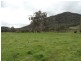 5655 River Road, Talmalmo NSW 2640