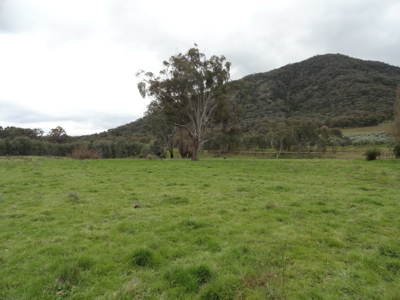 5655 River Road, Talmalmo NSW 2640