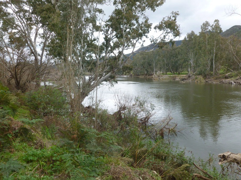 5655 River Road, Talmalmo NSW 2640