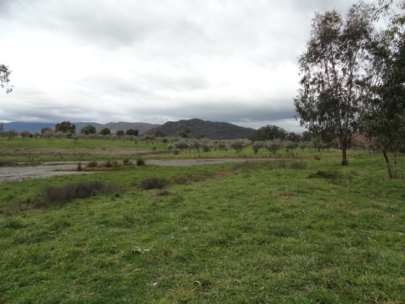 5655 River Road, Talmalmo NSW 2640
