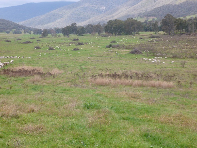 5655 River Road, Talmalmo NSW 2640