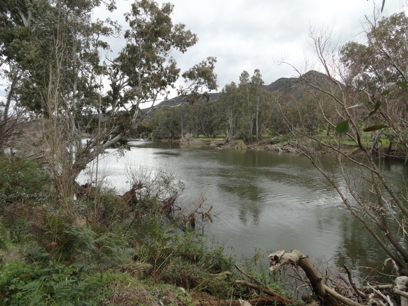 5655 River Road, Talmalmo NSW 2640