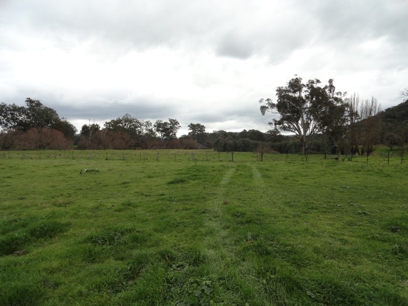 5655 River Road, Talmalmo NSW 2640