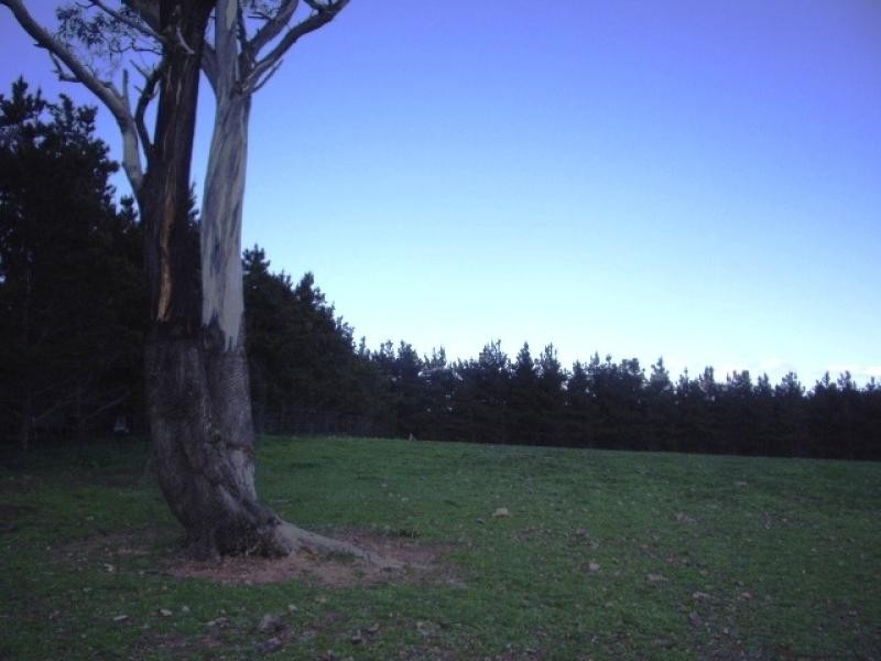 - Ducks Lane, Goulburn NSW 2580