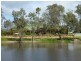 - N/ A Bulloak Tank Road, Narrandera NSW 2700