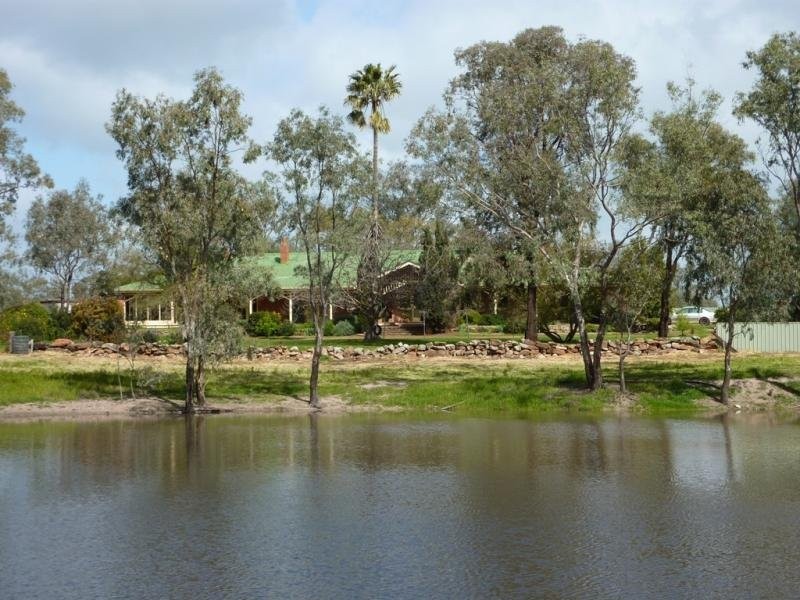 - N/ A Bulloak Tank Road, Narrandera NSW 2700