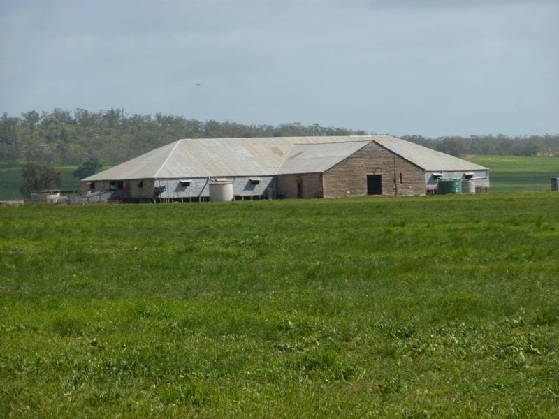 - N/ A Bulloak Tank Road, Narrandera NSW 2700