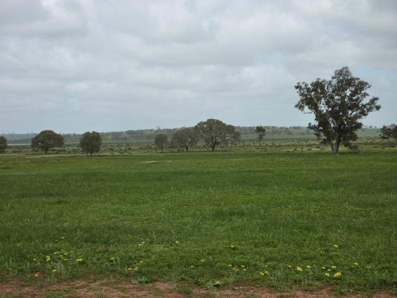 - N/ A Bulloak Tank Road, Narrandera NSW 2700