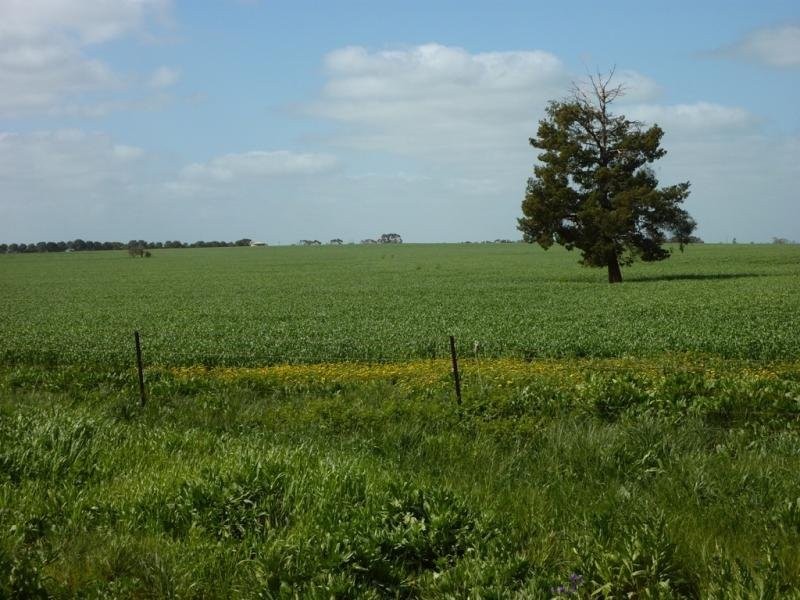 - N/ A Bulloak Tank Road, Narrandera NSW 2700