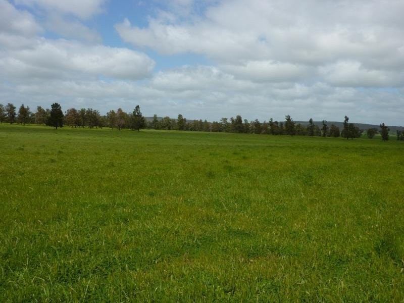 - N/ A Bulloak Tank Road, Narrandera NSW 2700