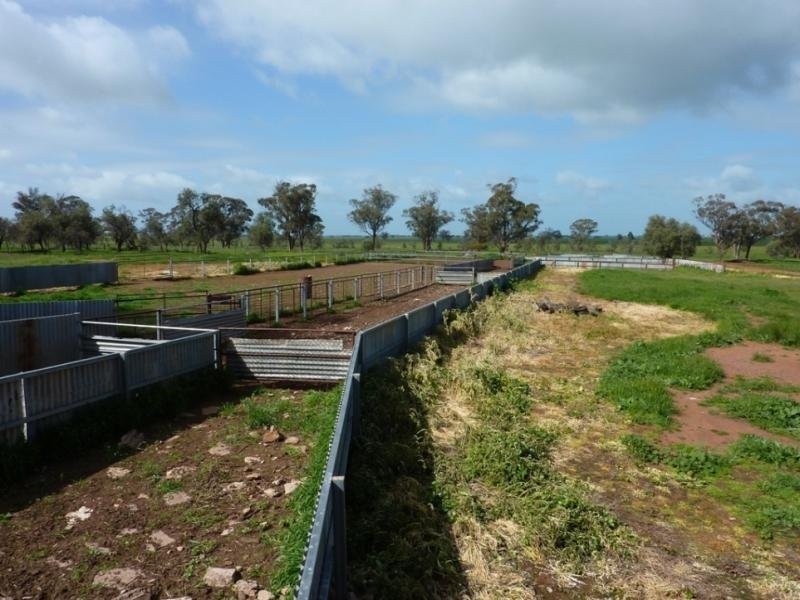 - N/ A Bulloak Tank Road, Narrandera NSW 2700