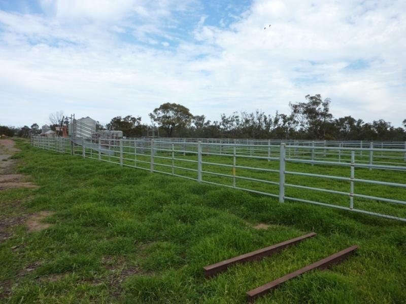 - N/ A Bulloak Tank Road, Narrandera NSW 2700