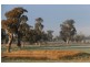 Donna Valley, Yarra Yarra Road, Holbrook NSW 2644