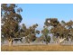 Donna Valley, Yarra Yarra Road, Holbrook NSW 2644