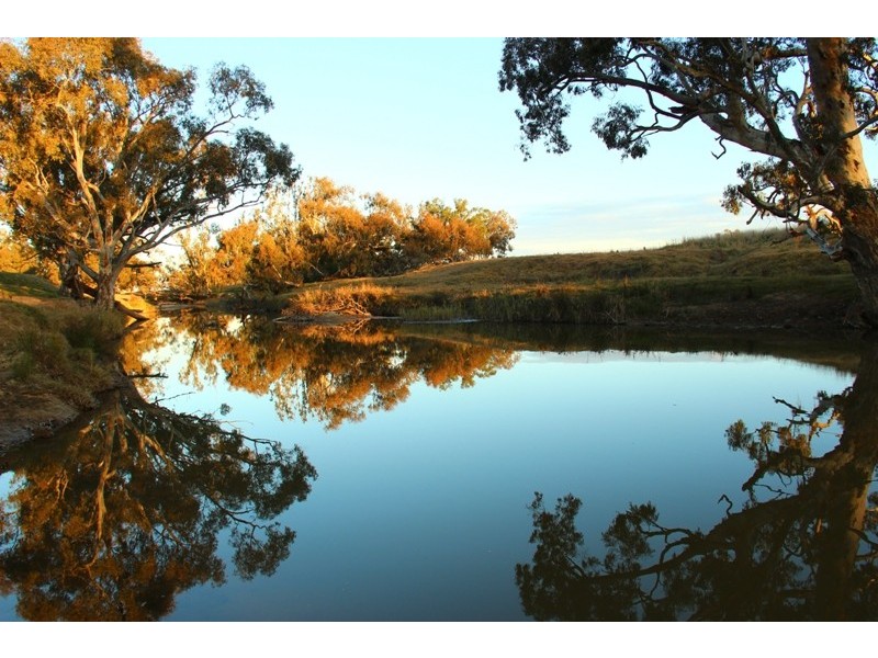 Donna Valley, Yarra Yarra Road, Holbrook NSW 2644