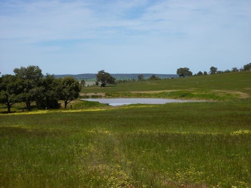 300 Mandalay Road, Narrandera NSW 2700