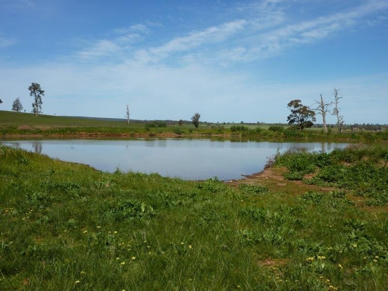 300 Mandalay Road, Narrandera NSW 2700