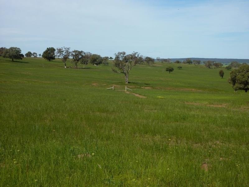 300 Mandalay Road, Narrandera NSW 2700