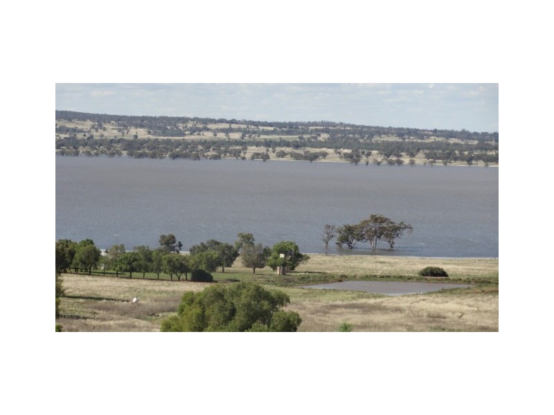 300 Mandalay Road, Narrandera NSW 2700