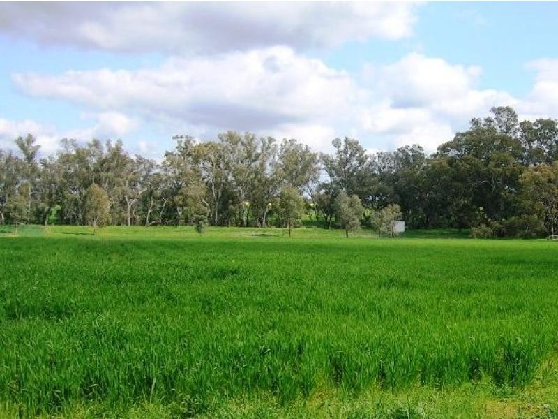 Lot 1 Kindra Road, Rand NSW 2642