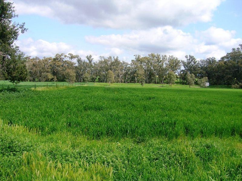 Lot 1 Kindra Road, Rand NSW 2642