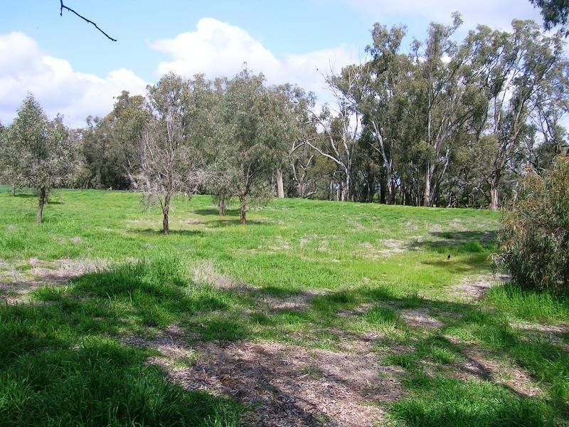 Lot 1 Kindra Road, Rand NSW 2642