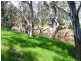 Lot 1 Kindra Road, Rand NSW 2642