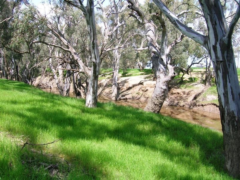 Lot 1 Kindra Road, Rand NSW 2642