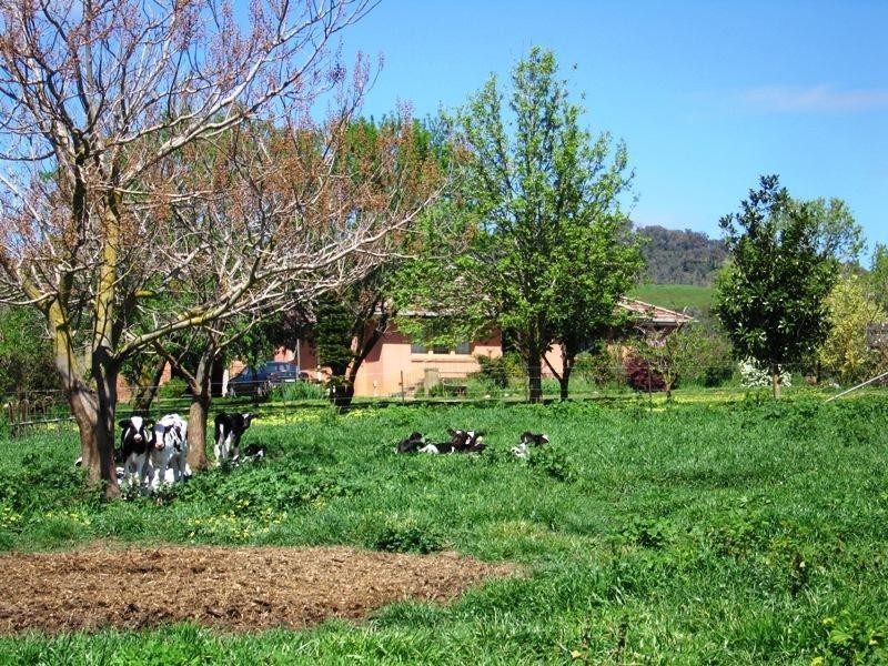 Tallangatta Valley VIC 3701