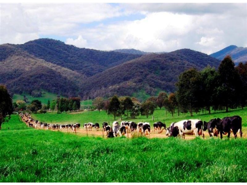 Tallangatta Valley VIC 3701
