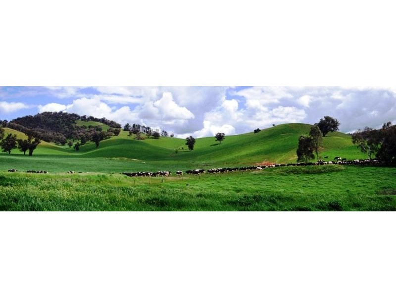 Tallangatta Valley VIC 3701