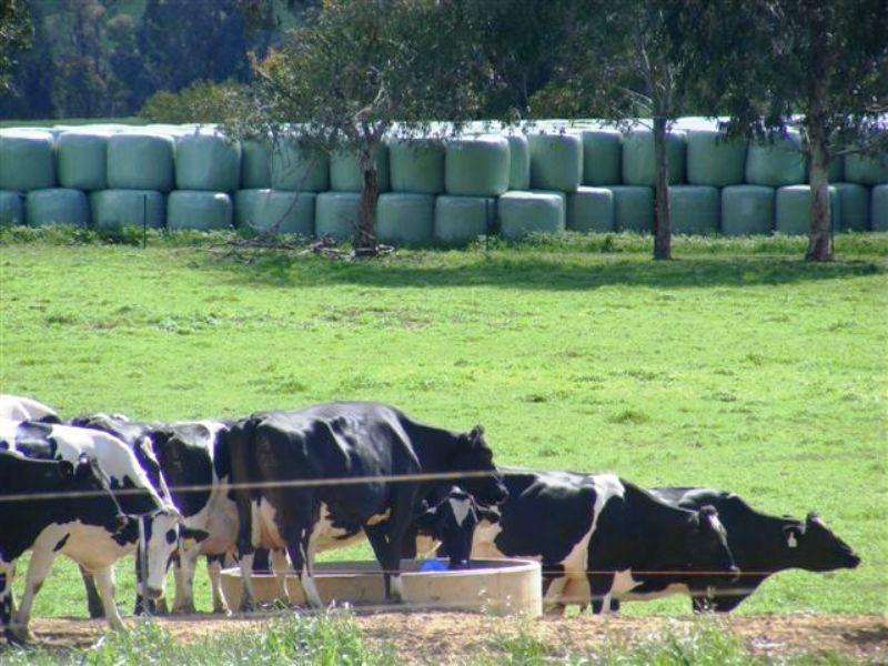 Tallangatta Valley VIC 3701