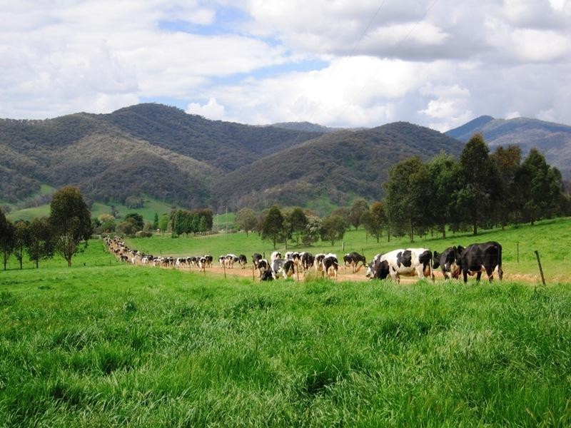 Tallangatta Valley VIC 3701