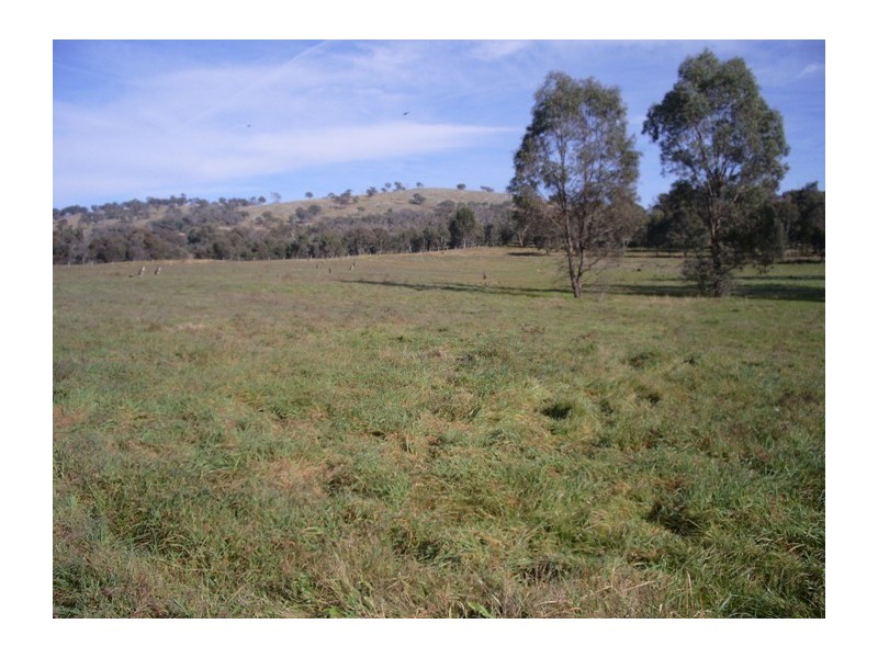 44 Rathmells Lane, Cootamundra NSW 2590