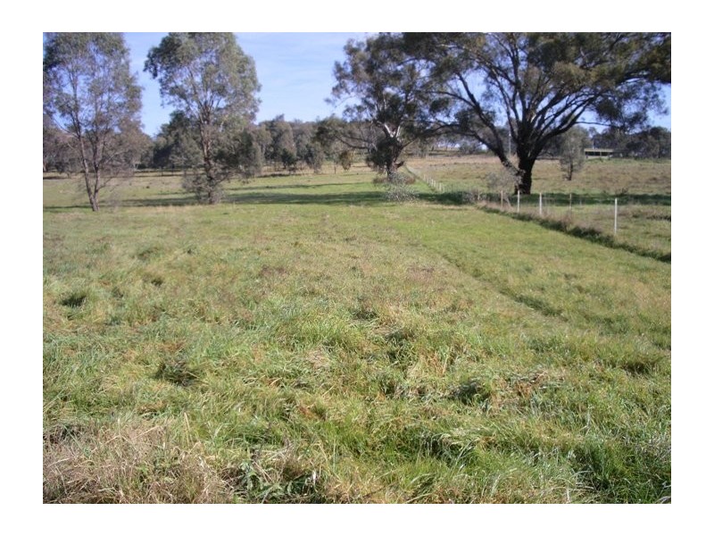 44 Rathmells Lane, Cootamundra NSW 2590