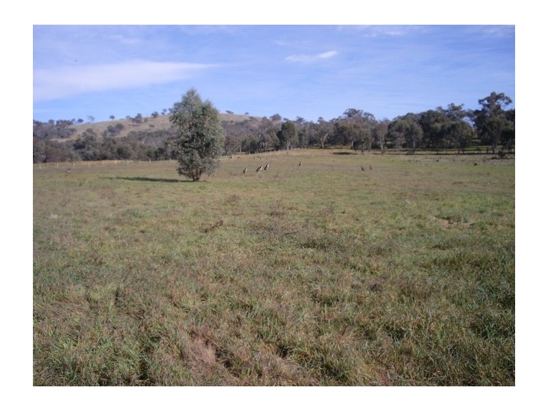 44 Rathmells Lane, Cootamundra NSW 2590