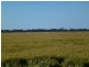 Whitton NSW 2705