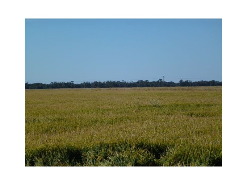 Whitton NSW 2705