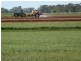 Whitton NSW 2705