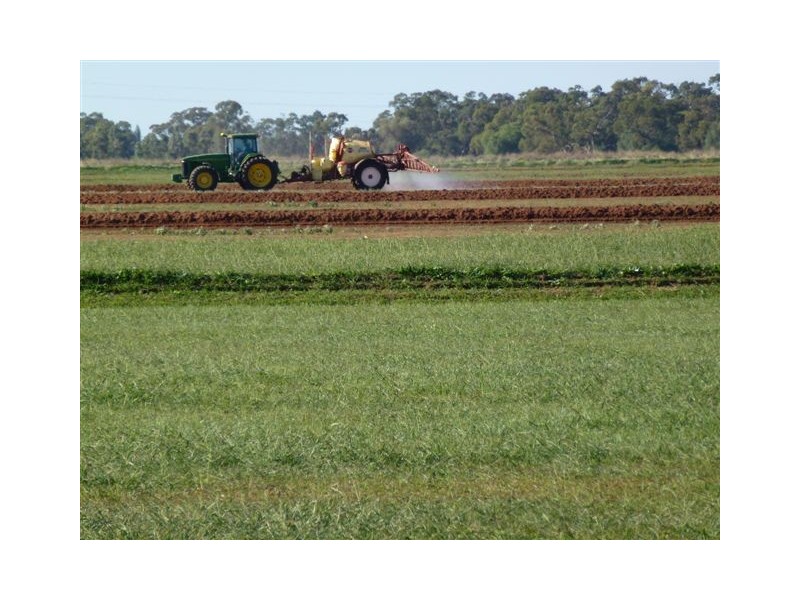 Whitton NSW 2705