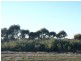 Cobb Highway, Booroorban NSW 2710