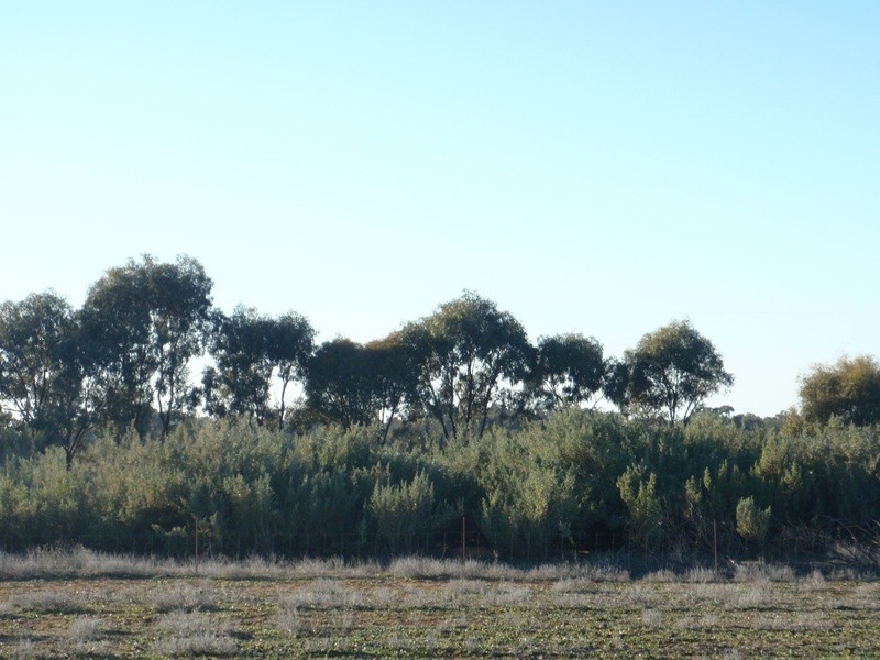Cobb Highway, Booroorban NSW 2710