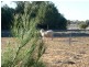 Cobb Highway, Booroorban NSW 2710