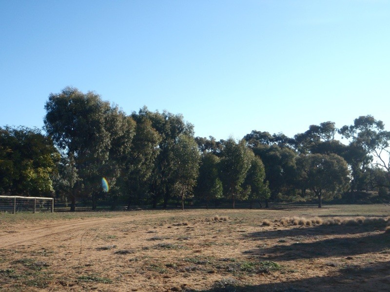 Cobb Highway, Booroorban NSW 2710